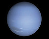 Neptunus